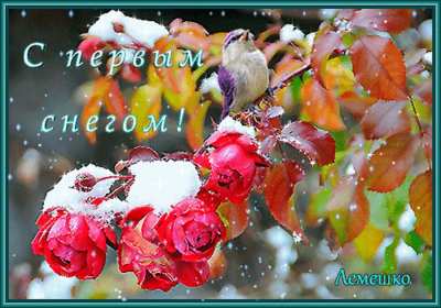 Открытки с первым снегом Открытка с первым снегом, первый снег, поздравления с первым снегом Открытка картинка открытки картинки первый снег, выпал первый снег, поздравления с первым, картинка открытка первый снег, с первым снегом, поздравить с первым снегом