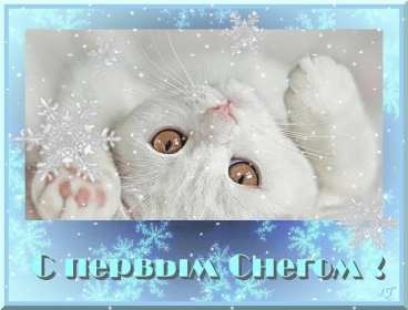 Открытки с первым снегом Открытка с первым снегом, первый снег, поздравления с первым снегом Открытка картинка открытки картинки первый снег, выпал первый снег, поздравления с первым, картинка открытка первый снег, с первым снегом, поздравить с первым снегом