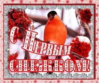 Открытки с первым снегом Открытка с первым снегом, первый снег, поздравления с первым снегом Открытка картинка открытки картинки первый снег, выпал первый снег, поздравления с первым, картинка открытка первый снег, с первым снегом, поздравить с первым снегом
