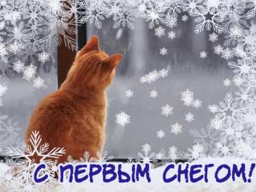 Открытки с первым снегом Открытка с первым снегом, первый снег, поздравления с первым снегом Открытка картинка открытки картинки первый снег, выпал первый снег, поздравления с первым, картинка открытка первый снег, с первым снегом, поздравить с первым снегом