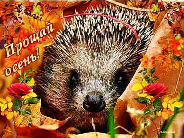 Открытка! Открытка с последним днём осени, последний день осени поздравления