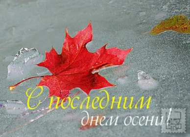 Открытки последний день осени Открытка с последним днём осени, последний день осени поздравления Открытка картинка последний день осени, открытки картинки с последним осенним днём, поздравления с последним днём осени, картинка открытка с последним осенним деньком