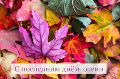 Открытки последний день осени Открытка с последним днём осени, последний день осени поздравления Открытка картинка последний день осени, открытки картинки с последним осенним днём, поздравления с последним днём осени, картинка открытка с последним осенним деньком