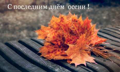 Открытки последний день осени Открытка с последним днём осени, последний день осени поздравления Открытка картинка последний день осени, открытки картинки с последним осенним днём, поздравления с последним днём осени, картинка открытка с последним осенним деньком