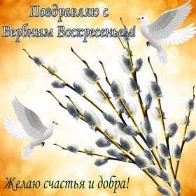 Открытки Вербное Воскресенье Открытка Вербное Воскресенье, православный праздник вербное . Открытка картинка открытки картинки на Вербное Воскресение, христианский праздник вербное, вербное Воскресенье, открытка картинка на вербное, вербное Воскресенье скачать