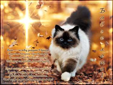 Открытки бабье лето Открытка бабье лето, поздравления с бабьим летом 14 сентября Открытка картинка бабье лето, с бабьим летом, открытки картинки 14 сентября бабье лето, яркие открытки с бабьим летом, красивые картинки бабье лето скачать бесплатно