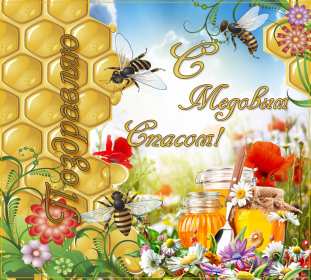 Открытки Медовый спас Открытка поздравления с праздником медовый спас 14 августа . Открытка картинка медовый спас, открытки картинки с медовым спасом, христианский праздник медовый спас, поздравления с медовым спасом 14 августа скачать бесплатно