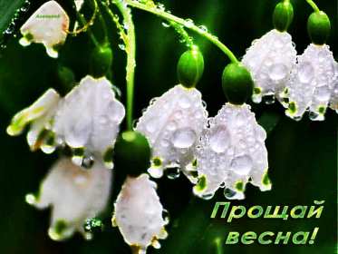 Открытка! Открытка последний день весны, с последним весенним днём 31 мая