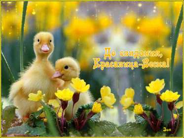 Открытка! Открытка последний день весны, с последним весенним днём 31 мая