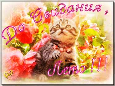 Открытки с последним днём лета Открытка последний день лета, с последним летним днём 31 августа Открытка картинка с последним летним днём, последний день лета, открытки картинки последний день уходящего лета, с последним днём лета 31 августа открытки скачать бесплатно