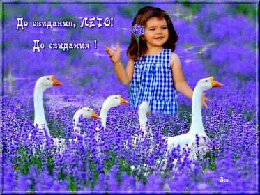 Открытки с последним днём лета Открытка последний день лета, с последним летним днём 31 августа Открытка картинка с последним летним днём, последний день лета, открытки картинки последний день уходящего лета, с последним днём лета 31 августа открытки скачать бесплатно