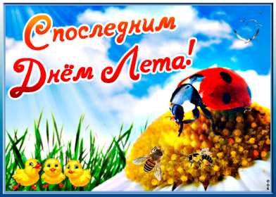 Открытки с последним днём лета Открытка последний день лета, с последним летним днём 31 августа Открытка картинка с последним летним днём, последний день лета, открытки картинки последний день уходящего лета, с последним днём лета 31 августа открытки скачать бесплатно