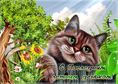 Открытки с последним днём лета Открытка последний день лета, с последним летним днём 31 августа Открытка картинка с последним летним днём, последний день лета, открытки картинки последний день уходящего лета, с последним днём лета 31 августа открытки скачать бесплатно