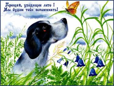 Открытки с последним днём лета Открытка последний день лета, с последним летним днём 31 августа Открытка картинка с последним летним днём, последний день лета, открытки картинки последний день уходящего лета, с последним днём лета 31 августа открытки скачать бесплатно