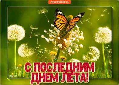 Открытки с последним днём лета Открытка последний день лета, с последним летним днём 31 августа Открытка картинка с последним летним днём, последний день лета, открытки картинки последний день уходящего лета, с последним днём лета 31 августа открытки скачать бесплатно