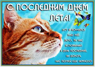 Открытки с последним днём лета Открытка последний день лета, с последним летним днём 31 августа Открытка картинка с последним летним днём, последний день лета, открытки картинки последний день уходящего лета, с последним днём лета 31 августа открытки скачать бесплатно