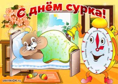 Открытки день сурка Открытка с днём сурка, поздравления на день сурка 2 февраля . Открытки картинки день сурка, с днём сурка, 2 февраля день сурка, поздравления на день сурка, открытка картинка день сурка, с днём сурка 2 февраля скачать бесплатно