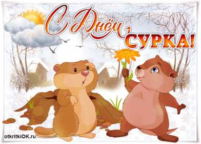 Открытки день сурка Открытка с днём сурка, поздравления на день сурка 2 февраля . Открытки картинки день сурка, с днём сурка, 2 февраля день сурка, поздравления на день сурка, открытка картинка день сурка, с днём сурка 2 февраля скачать бесплатно