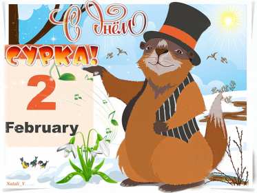 Открытки день сурка Открытка с днём сурка, поздравления на день сурка 2 февраля . Открытки картинки день сурка, с днём сурка, 2 февраля день сурка, поздравления на день сурка, открытка картинка день сурка, с днём сурка 2 февраля скачать бесплатно