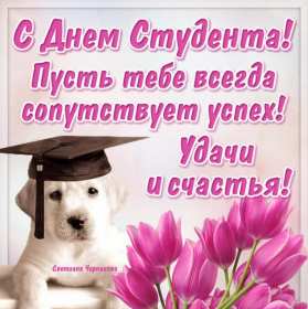 Открытки день студента Открытка с праздником день студента, на день студента поздравления Открытка картинка день студента, с праздником днём студента, поздравления на праздник день студентов, открытки картинки с днём студентов, день студента скачать бесплатно