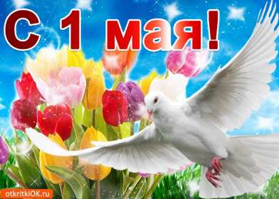Открытки на 1 мая Открытка на 1 мая, мир, труд, май, поздравление с праздником 1 мая Открытка картинка открытки картинки 1 мая, мир, труд, май, праздник труда, первомай, первое мая, открытка картинка на 1 мая, с 1 мая, поздравление с праздником 1 мая скачать бесплатно