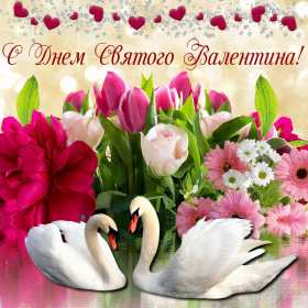 Открытки с днём влюблённых Открытка на день влюблённых, с днём святого Валентина 14 февраля Открытка открытки картинка картинки с праздником день всех влюблённых 14 февраля, день святого Валентина, поздравления с днём влюблённых, открытка 14 февраля скачать бесплатно