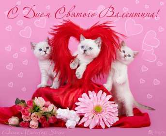 Открытки с днём влюблённых Открытка на день влюблённых, с днём святого Валентина 14 февраля Открытка открытки картинка картинки с праздником день всех влюблённых 14 февраля, день святого Валентина, поздравления с днём влюблённых, открытка 14 февраля скачать бесплатно