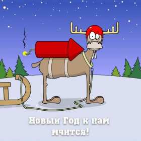 Открытки прикольные с Новым годом Открытка прикольная с Новым годом, поздравления на Новый год . Открытка картинка открытки картинки прикольные на Новый год, с Новым годом, прикольные поздравления с Новым годом, открытка картинка прикольная с Новым годом скачать бесплатно