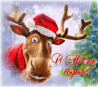 Открытки прикольные с Новым годом Открытка прикольная с Новым годом, поздравления на Новый год . Открытка картинка открытки картинки прикольные на Новый год, с Новым годом, прикольные поздравления с Новым годом, открытка картинка прикольная с Новым годом скачать бесплатно