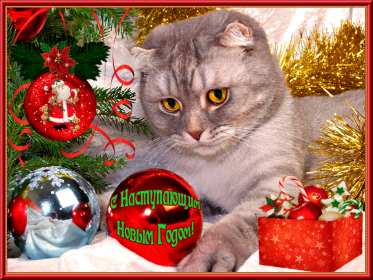 Открытки с наступающим Новым годом Открытка с наступающим Новым годом, поздравления с наступающим. Открытка картинка открытки картинки с наступающим, с наступающим Новым годом, поздравления с наступающим Новым годом, открытки Новый год наступающий скачать бесплатно