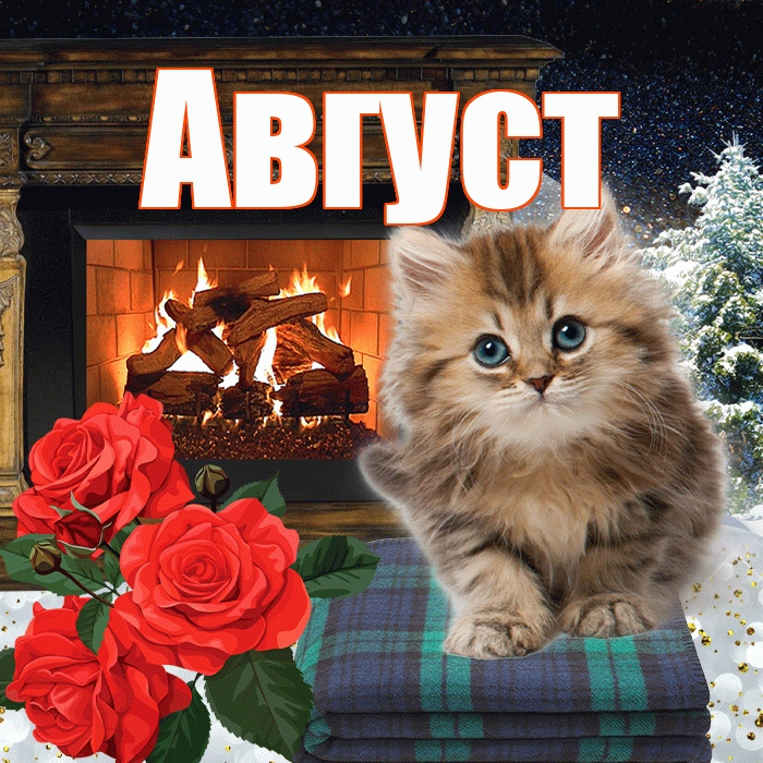 Август! Доброго зимнего вечера! Красивая открытка Августу!