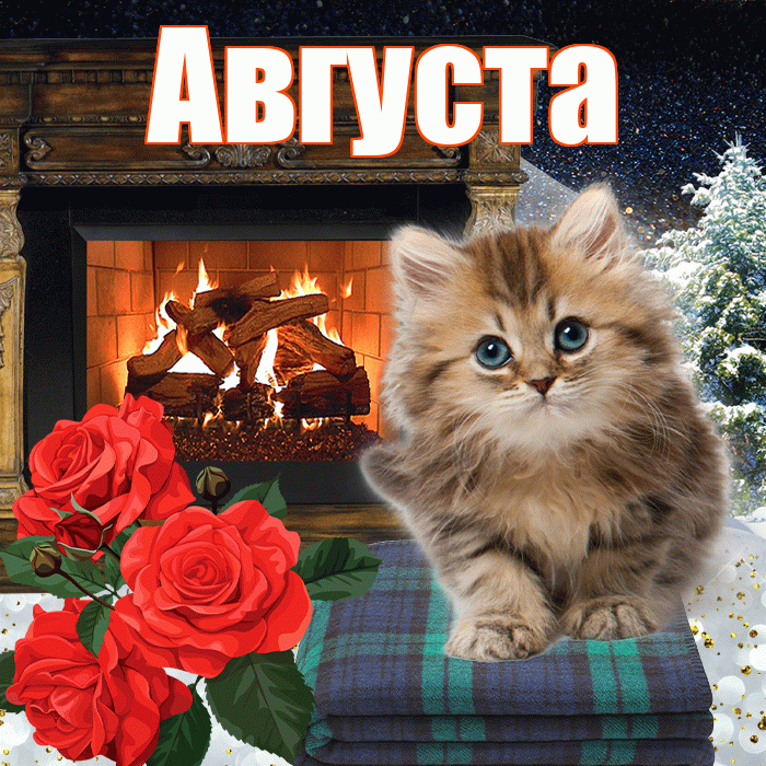 Августа! Доброго зимнего вечера! Красивая открытка Августе!