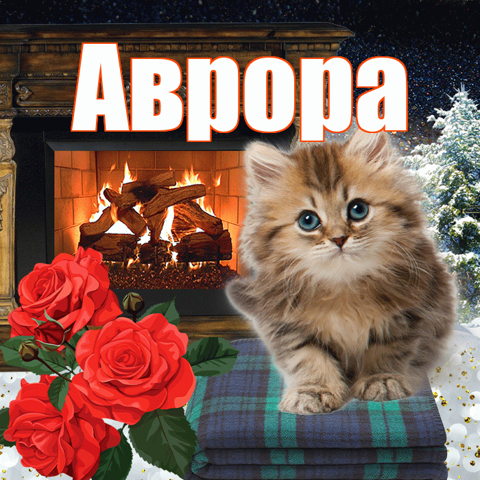 Аврора! Доброго зимнего вечера! Красивая открытка Авроре!