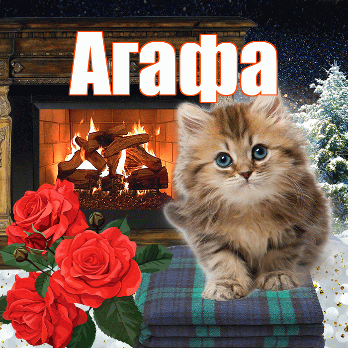 Агафа! Доброго зимнего вечера! Красивая открытка !