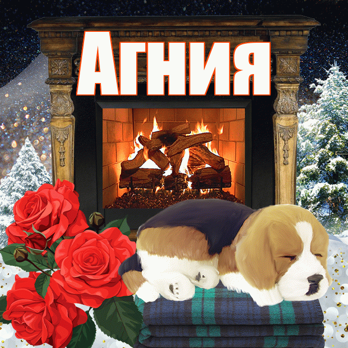 Агния! Доброго зимнего вечера! Красивая открытка Агнии!