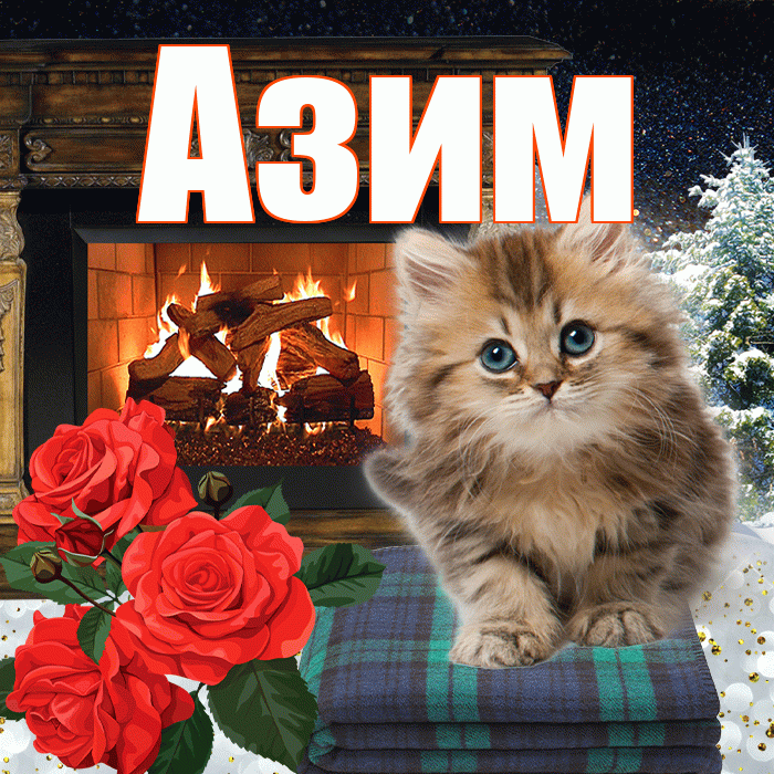 Азим! Доброго зимнего вечера! Красивая открытка Азиму!