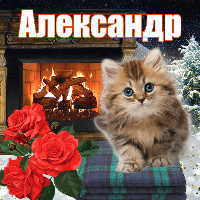 Александр! Доброго зимнего вечера! Красивая открытка Александру!