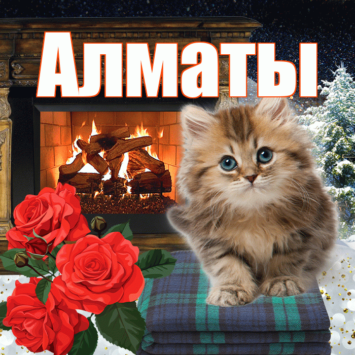 Алматы! Доброго зимнего вечера! Красивая открытка Алматы!