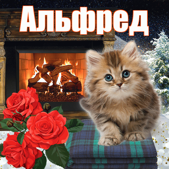 Альфред! Доброго зимнего вечера! Красивая открытка Альфреду!