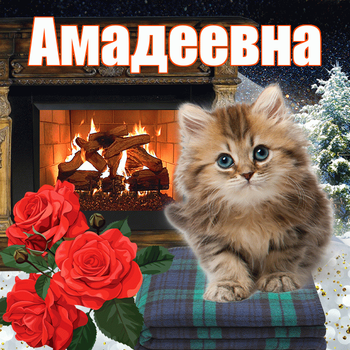 Амадеевна! Доброго зимнего вечера! Красивая открытка Амадеевне!