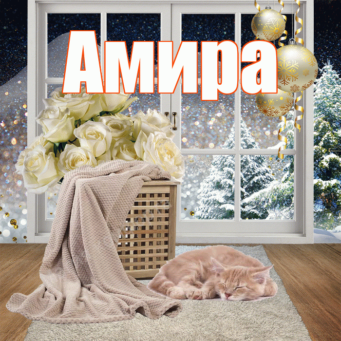 Амира! Доброго зимнего вечера! Красивая открытка Амире!