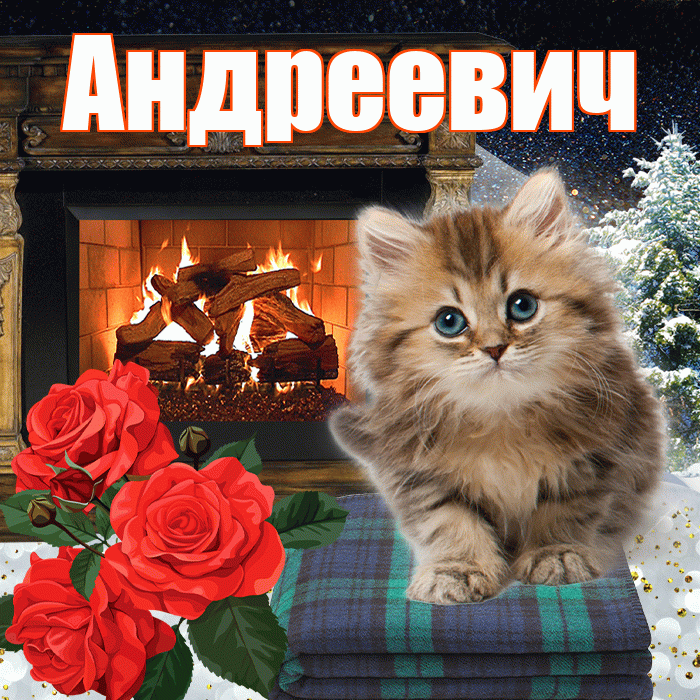 Андреевич! Доброго зимнего вечера! Красивая открытка Андреевичу!
