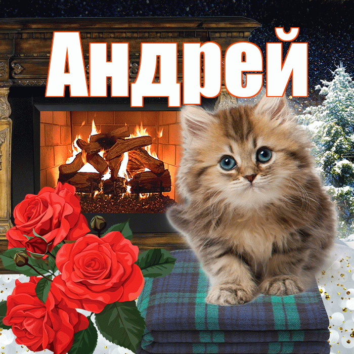 Андрей! Доброго зимнего вечера! Красивая открытка Андрею!