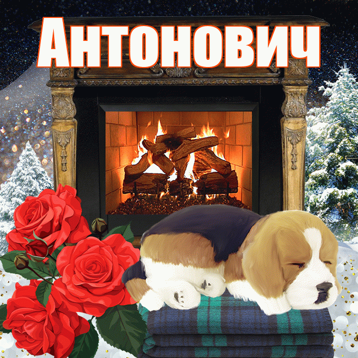Антонович! Доброго зимнего вечера! Красивая открытка Антоновичу!