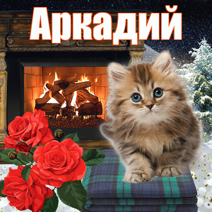 Аркадий! Доброго зимнего вечера! Красивая открытка Аркадию!
