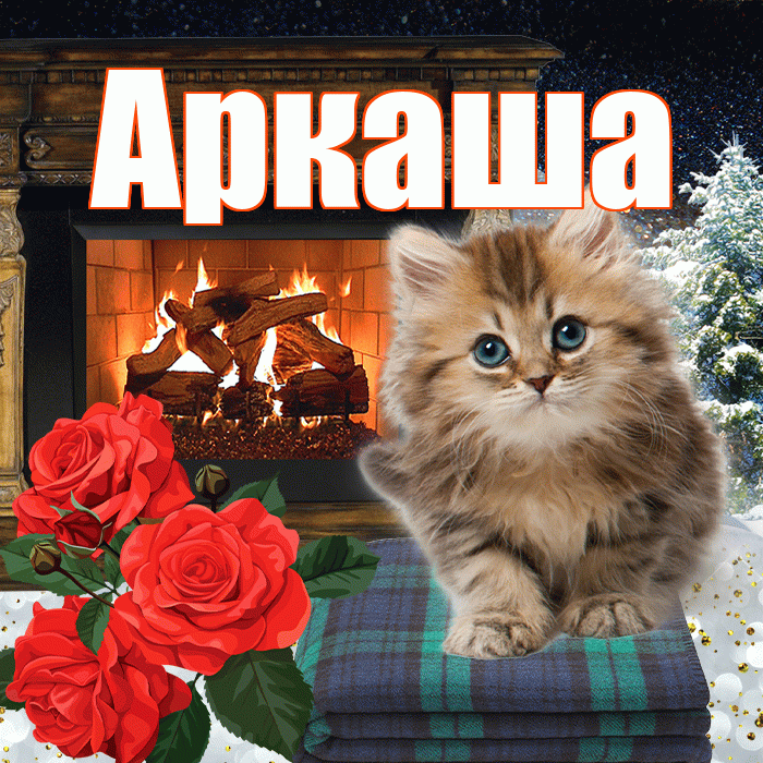 Аркаша! Доброго зимнего вечера! Красивая открытка Аркаше!