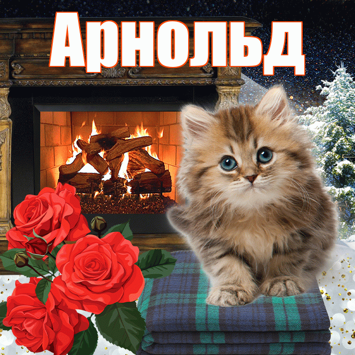 Арнольд! Доброго зимнего вечера! Красивая открытка Арнольду!