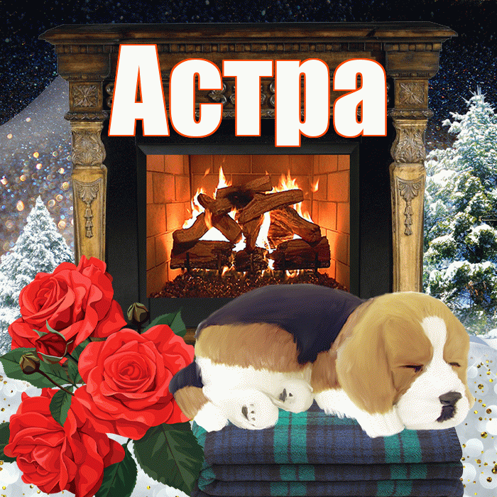 Астра! Доброго зимнего вечера! Красивая открытка Астровне!