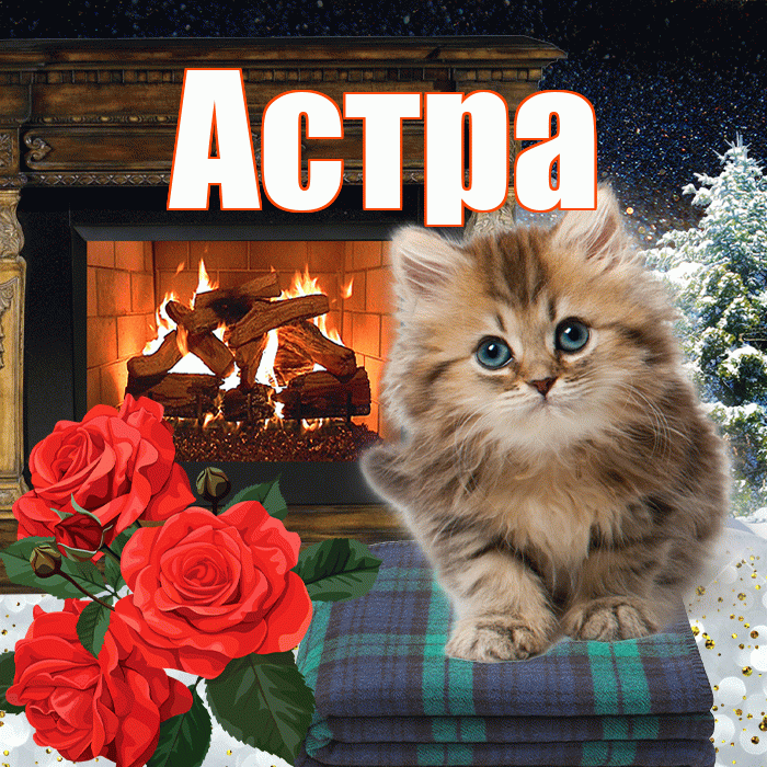 Астра! Доброго зимнего вечера! Красивая открытка Астровне!