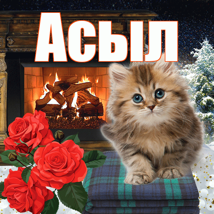 Асыл! Доброго зимнего вечера! Красивая открытка Асылу!